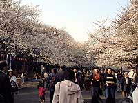 102-22.jpg