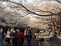 102-23.jpg