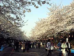 102-24.jpg