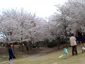 110-2.jpg