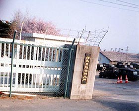 111-5.jpg