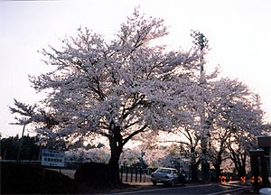 112-4.jpg