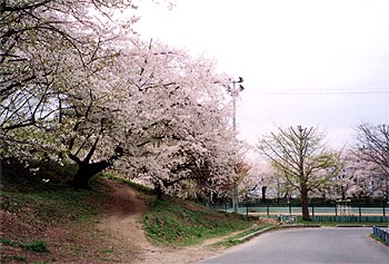 114-1.jpg