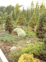 115-8.jpg