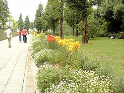 116-2.jpg