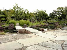 116-8.jpg