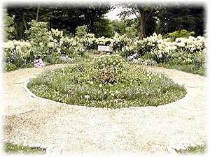 117-3.jpg