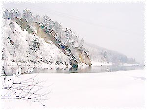119-2.jpg