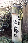 120-1.jpg