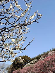 120-10.jpg
