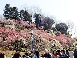 120-2.jpg
