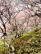 120-6.jpg