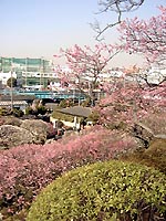 120-7.jpg