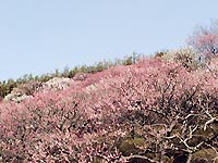 120-8.jpg