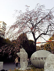 121-2.jpg