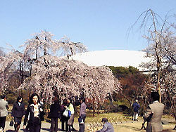 122-2.jpg
