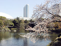 122-5.jpg