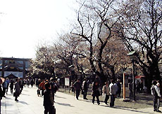123-2.jpg