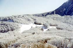 127-4.jpg
