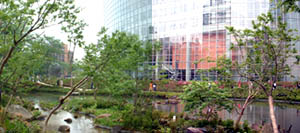 128-4.jpg